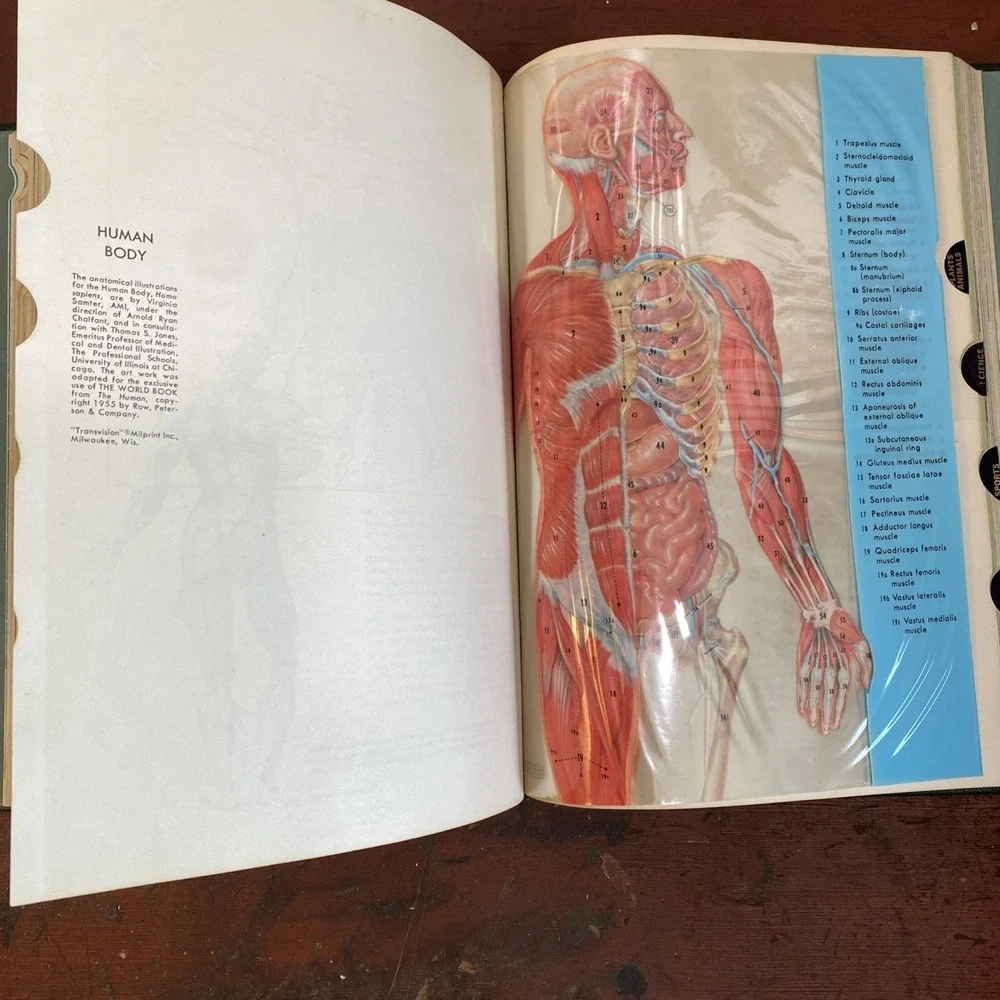 A New Milestone in Encyclopedia Craftsmanship: The World Book Encyclopedia: 1965
